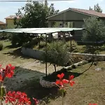 Tireli