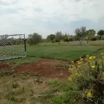 דירה Tireli
